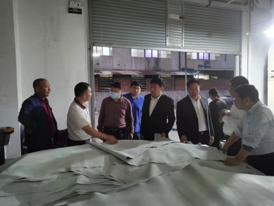 一路歡歌一路情--呂斌率隊赴廣東省走訪調(diào)研永州異地商會并開展輕紡制鞋產(chǎn)業(yè)鏈招商