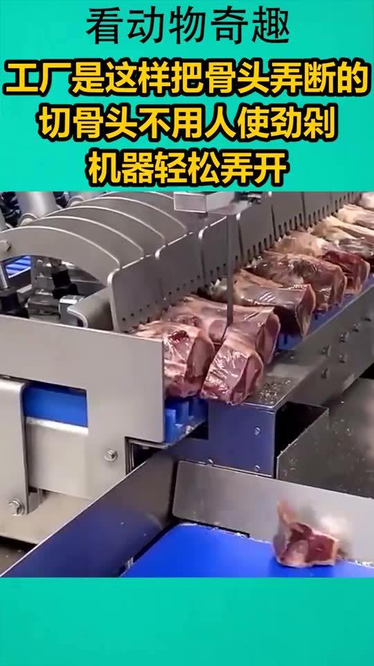 工廠是這樣把骨頭弄斷的,切骨頭不用人使勁剁,機(jī)器輕松弄開